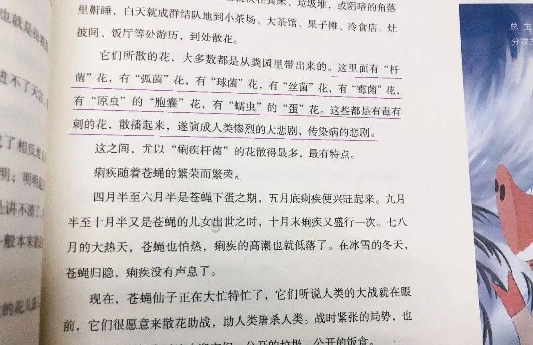 吃豆人的豆人